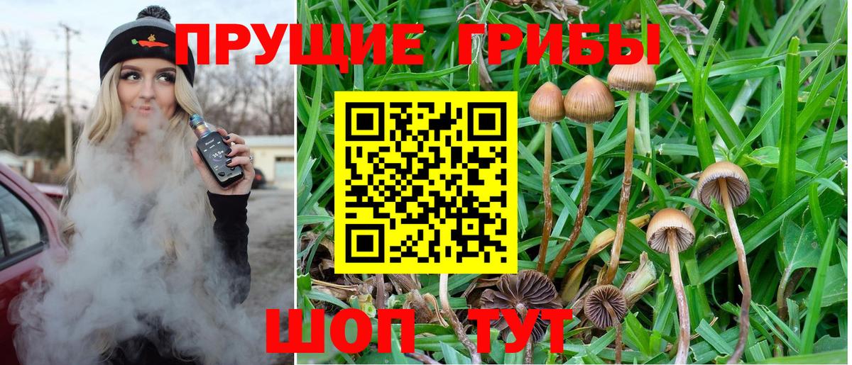 Галлюциногенные грибы мицелий  Галлюциногенные грибы прущие грибы  Кольчугино  Вход с VPN 